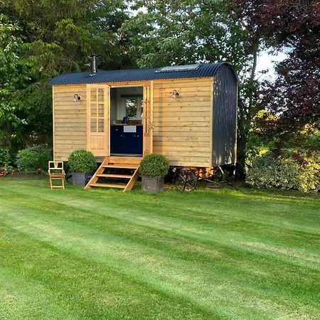 Bannfield Shepherds Hut Ballymoney Eksteriør billede